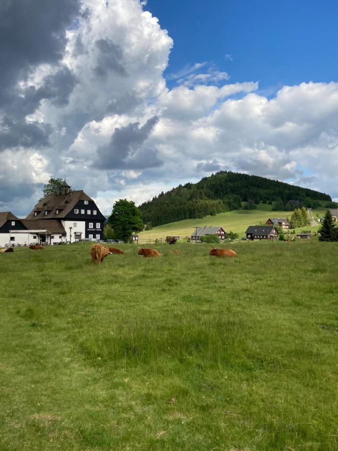 Hotel Pansky Dum - *